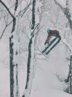 Salomon Dancehaul 147 2023 Snowboard 10 Salomon Dancehaul 147 2023 Snowboard -Sports - Matériel De Ski Dancehaul1472023Snowboard 2